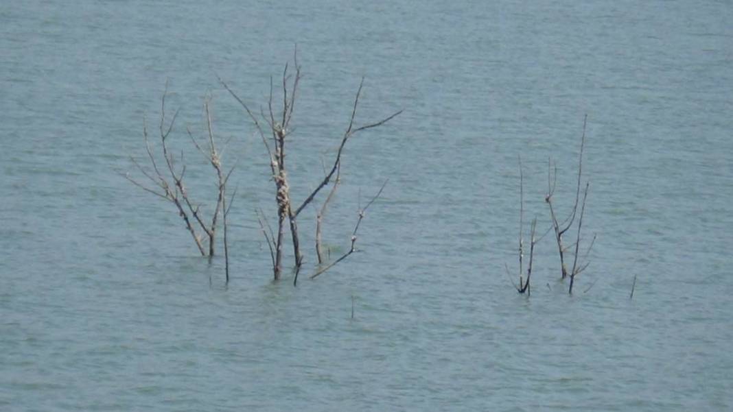 Yerin altı üstüne çıktı! O ilimizde korku büyüyor, aniden gün yüzüne çıkıverdiler 9